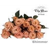R GR SHIMMER