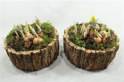 <h4>4474 SCHORS ROND TETE</h4>