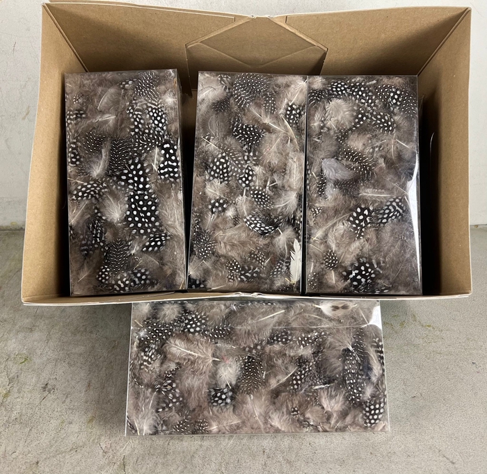 <h4>Feather Guinea 10g In Box Natu</h4>