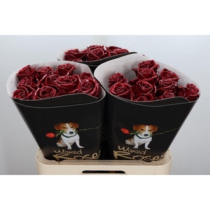 Wax-Rozen Wax Bordeaux w1