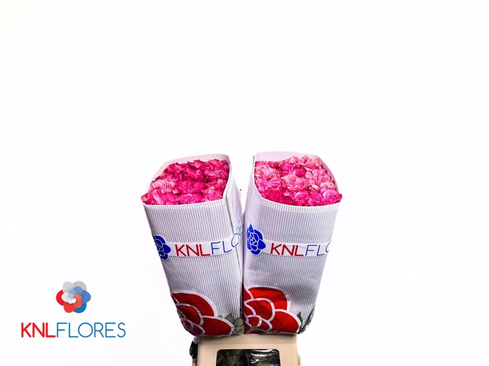 <h4>R GR COUNTRY BLUES</h4>