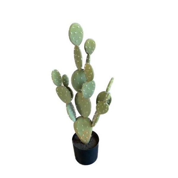 <h4>Artificial plants Pot Cactus d18*71cm</h4>