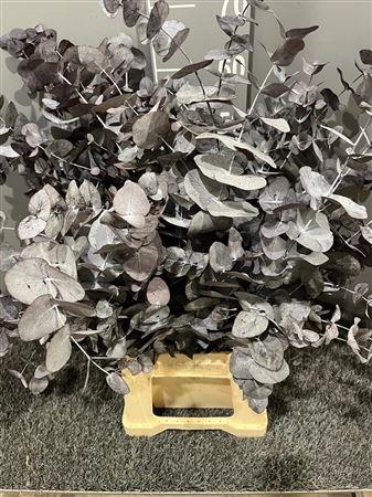 <h4>Dr Stab Cinerea Grey</h4>