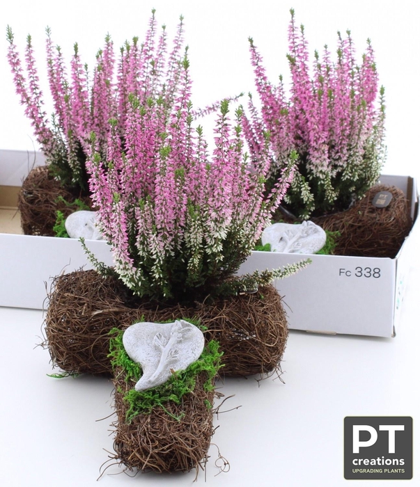 <h4>ARR TUINPLANTEN</h4>