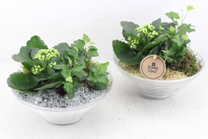 <h4>arr2 PL - Glas ribbelschaal x3 - goud/zilver</h4>