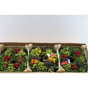 Wr Sierfruit 30cm (anttar)