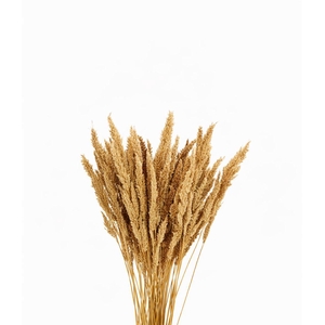 Dried Pinion Grass Natural Bunch