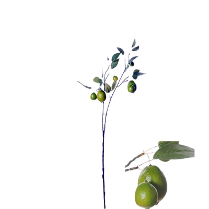 <h4>Lime 79cm</h4>