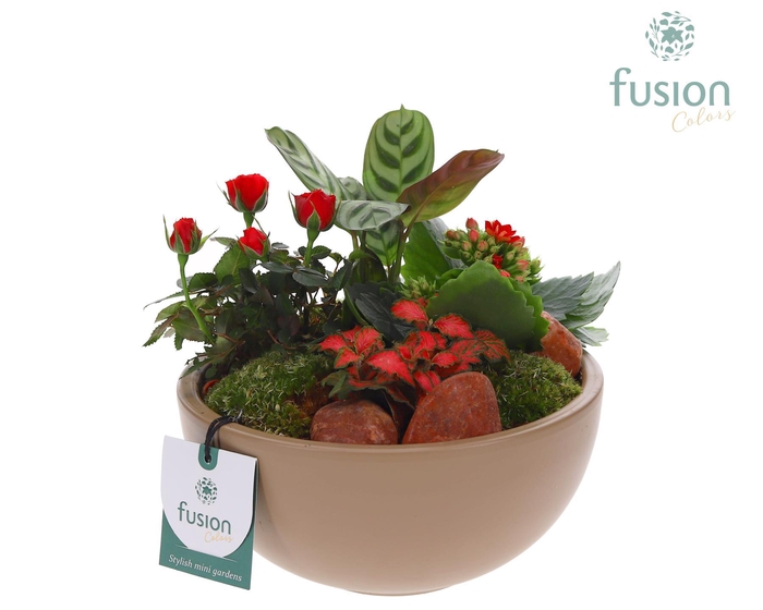 <h4>Schaal keramiek Moon Medium beige Love met arrangement</h4>