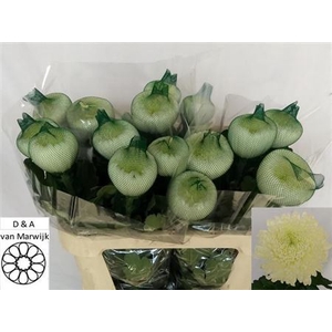 CHR G SFERA WHITE