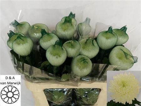 CHR G SFERA WHITE