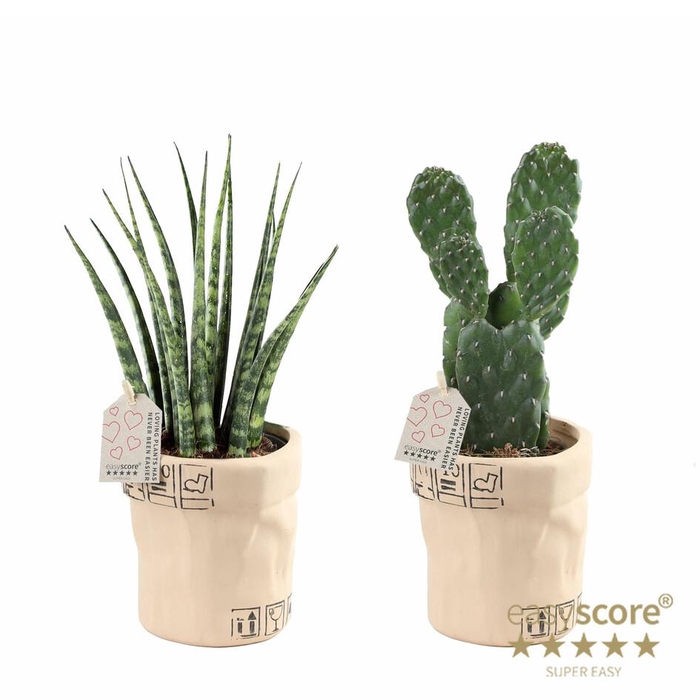 <h4>Ceramic Bag Creations 9cm</h4>