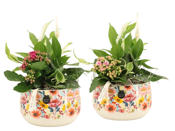 <h4>21827: Lovess arrangement</h4>