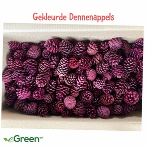 DENNENAPPEL H% ST