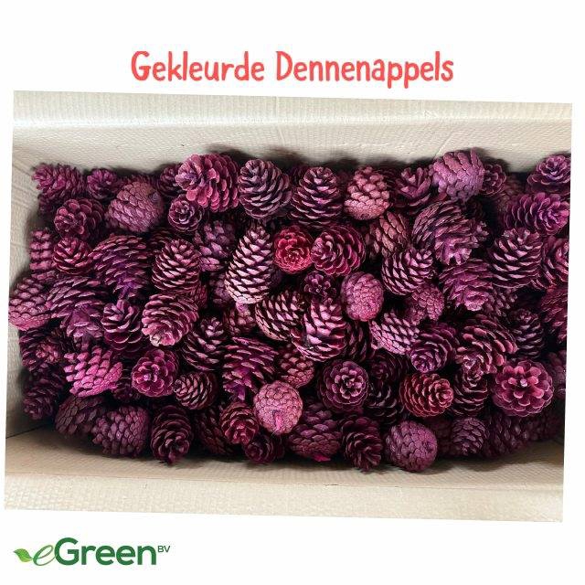 <h4>DENNENAPPEL H% ST</h4>