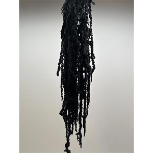 GESTABILISEERD AMARANTHUS (H) ZWART