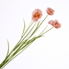 Papaver Spray Pink FL440340PNK