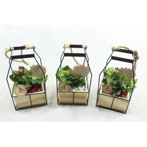 4127 BLACK LANTAARN IND