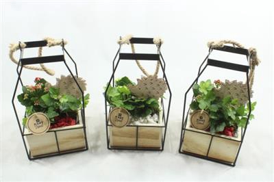 <h4>4127 BLACK LANTAARN IND</h4>