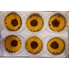 Pres Sunflower