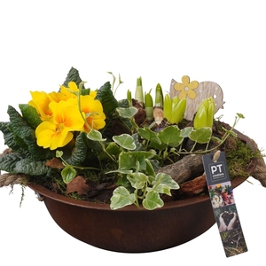 Arr.   Tuinplanten L%