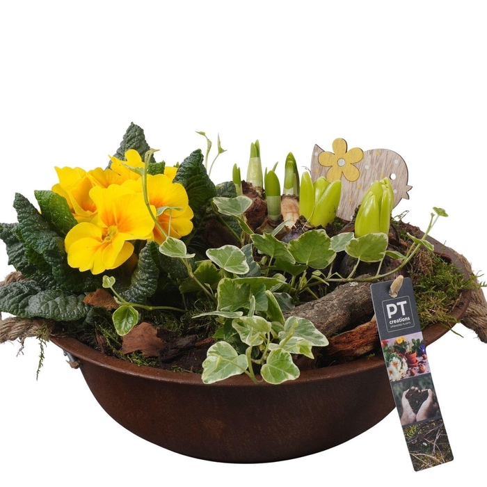 <h4>Arr.   Tuinplanten L%</h4>