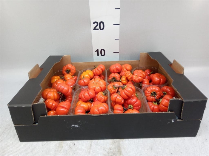 <h4>Cucumis  'Decumis'   .../stuk</h4>