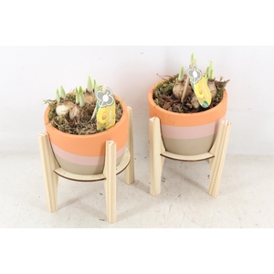 arr4 Narcis PL - Ker. pot retro hout voet