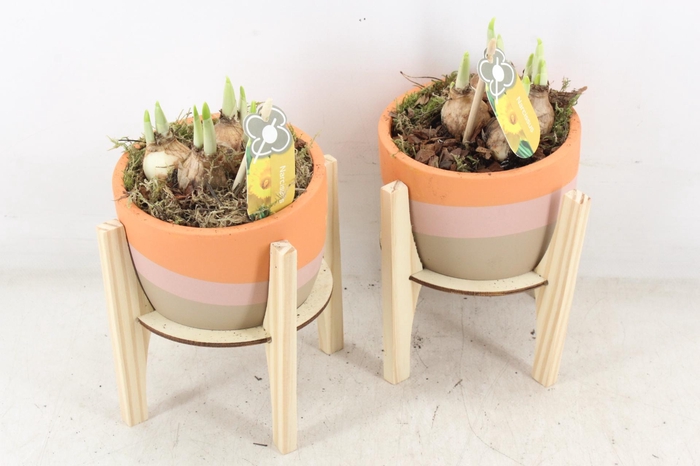 <h4>arr4 Narcis PL - Ker. pot retro hout voet</h4>