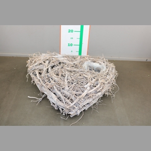 ROOT HEART+PL. WIT50CM