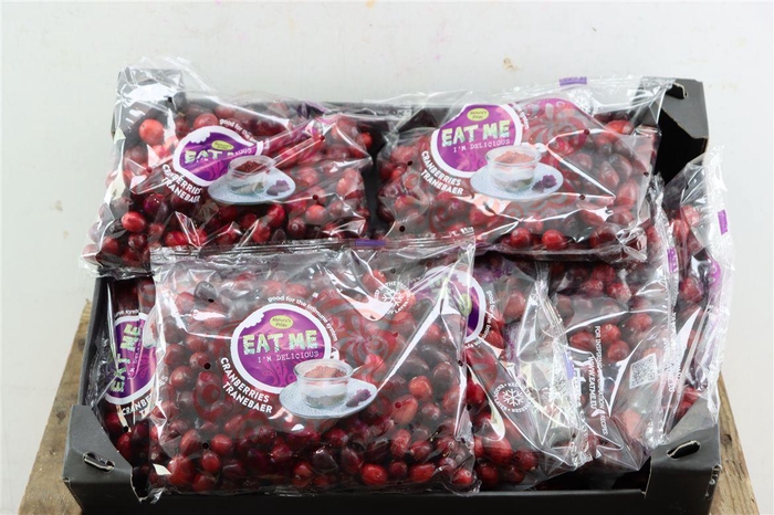 <h4>Sier Cranberry P Bag</h4>