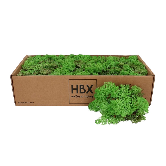 <h4>Preserved Rendiermos 400-500g</h4>