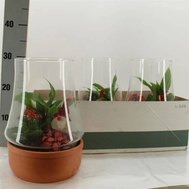 <h4>ARR KAMERPL</h4>