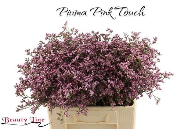 <h4>LIM PIUMA PINK TOUCH</h4>