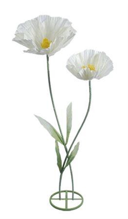 <h4>Stem Double Poppy H160d50</h4>