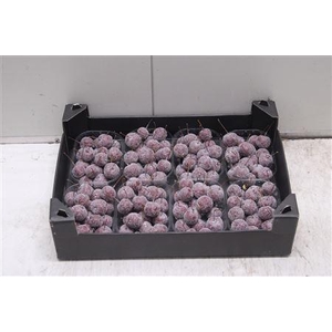 F-malusappel Glitter Wijnrood