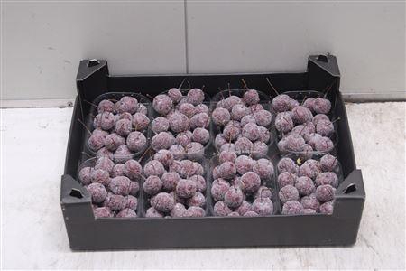 <h4>F-malusappel Glitter Wijnrood</h4>