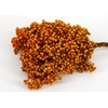 Schinus M Pt Mustard Bunch