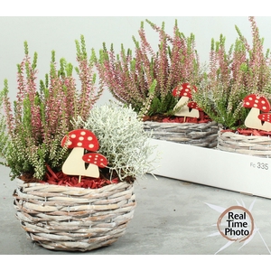ARR TUINPLANTEN