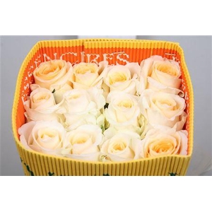 R Gr Creme De La Creme Ec