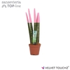 Sansevieria VELVET TOUCHZ® Pastel Roze
