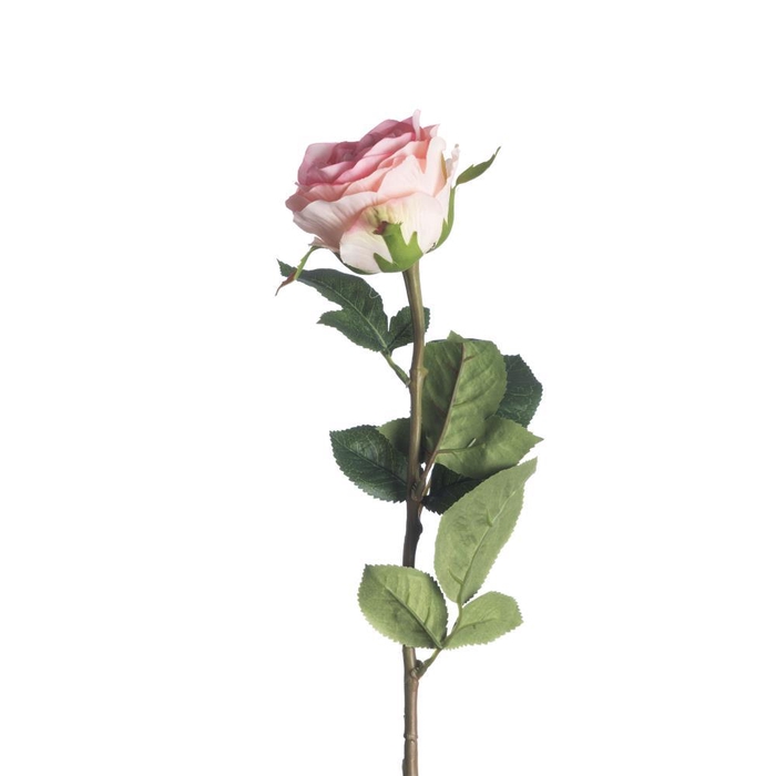 <h4>AF Rosa L68cm L.Pink</h4>