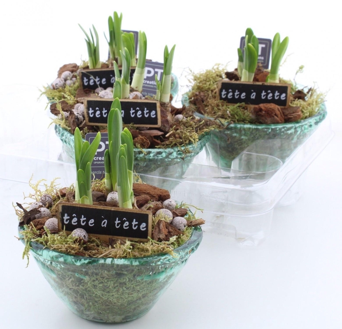 <h4>ARR N TETE A TETE</h4>