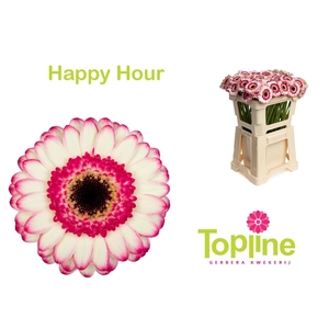 GE MI HAPPY HOUR