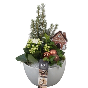 Deco Christmas Arrangement 15Ø 33cm