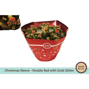 Kalanchoe Double Glitter Goud