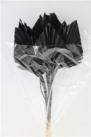 Dried Palm Spear 10pc Black Bunch