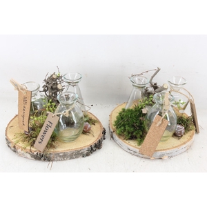 arr2 MB - Hout schijf 3fles naturel