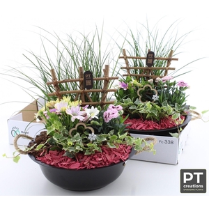 ARR TUINPLANTEN