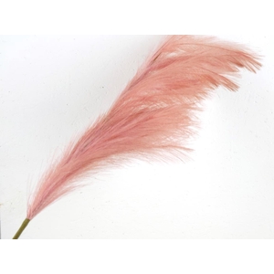 Af Pampas 130cm Pink